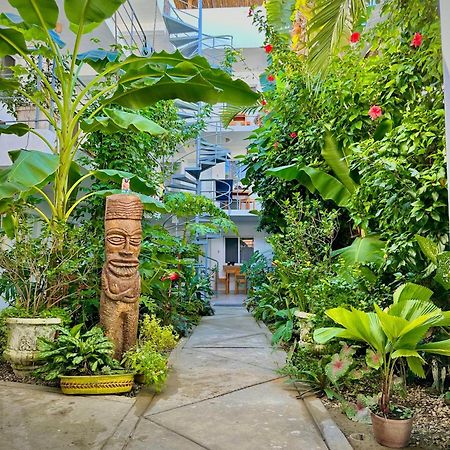 Kite House Cabarete Across Kite Beach 외부 사진