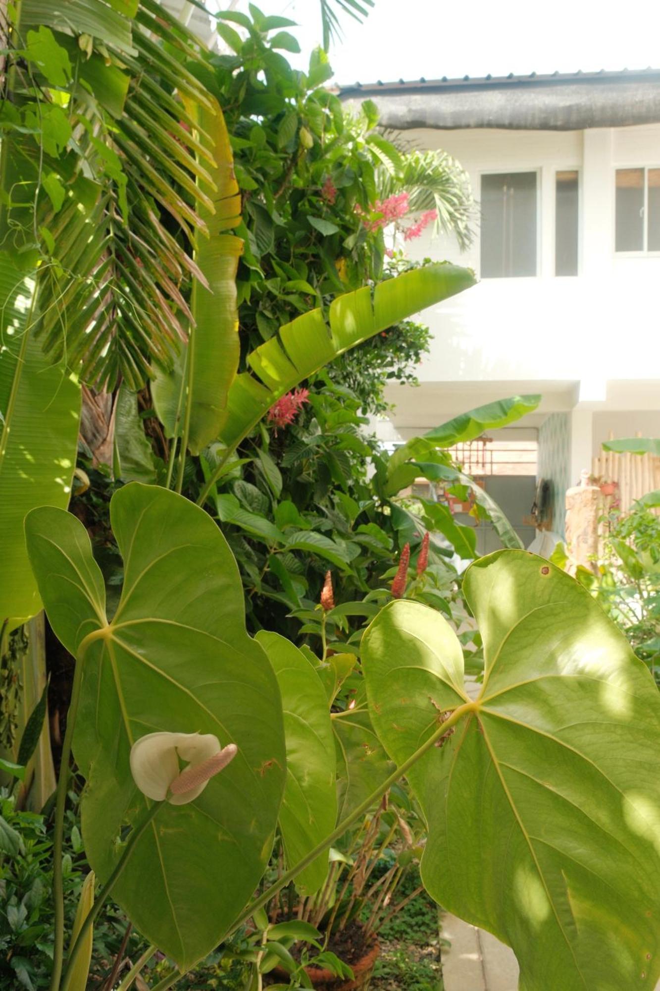 Kite House Cabarete Across Kite Beach 외부 사진