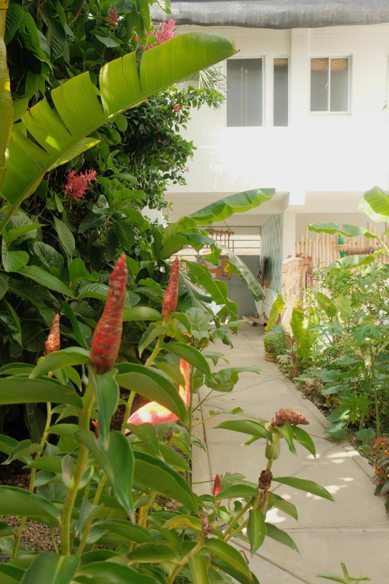 Kite House Cabarete Across Kite Beach 외부 사진